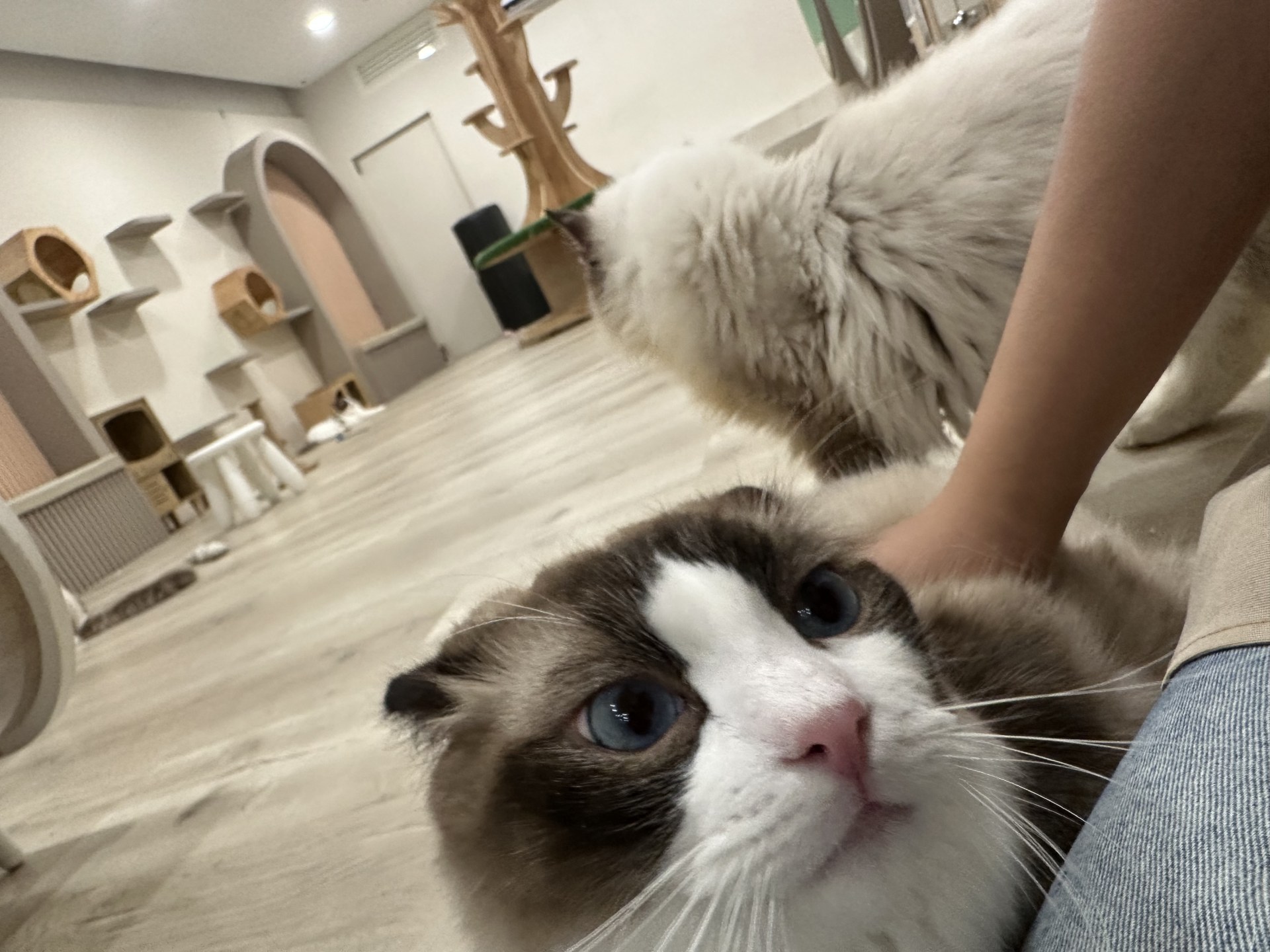 UMI CAFE 輪播圖片 4