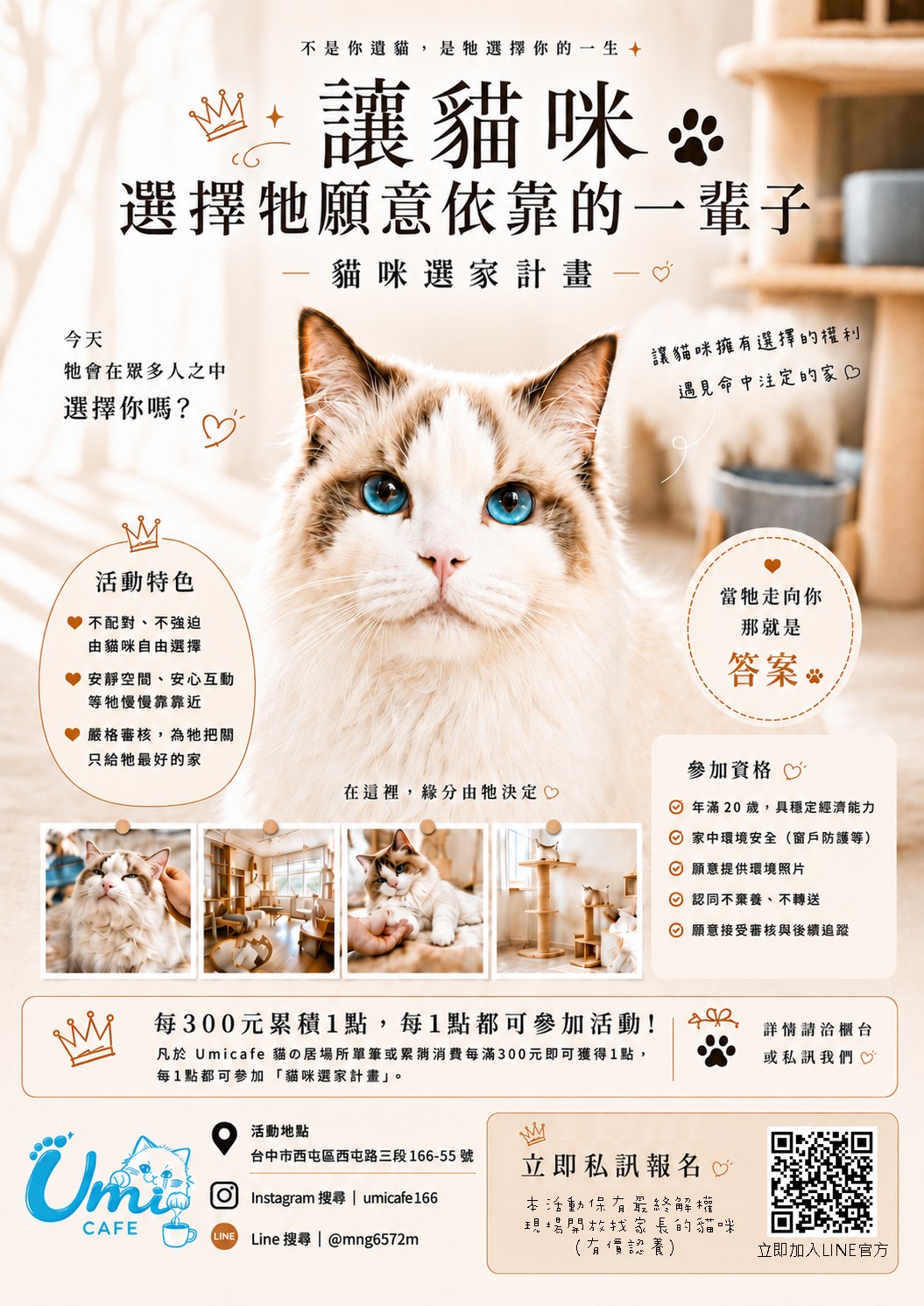 UMI CAFE 輪播圖片 6